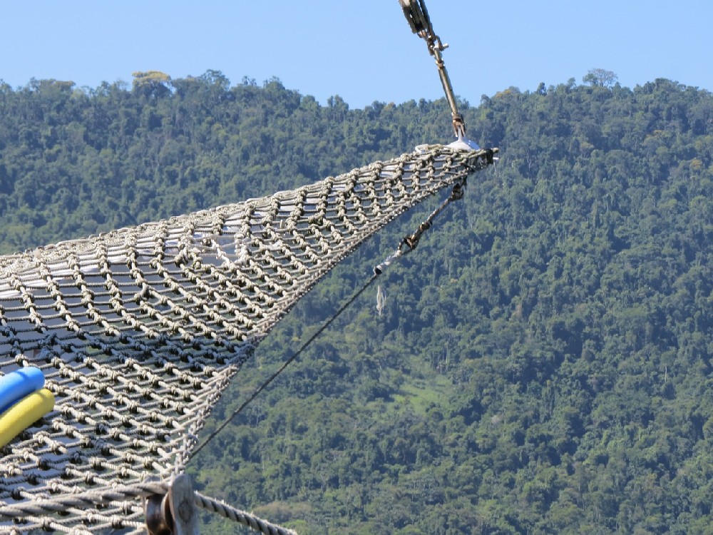 檢測機構圖像分析系統(tǒng)